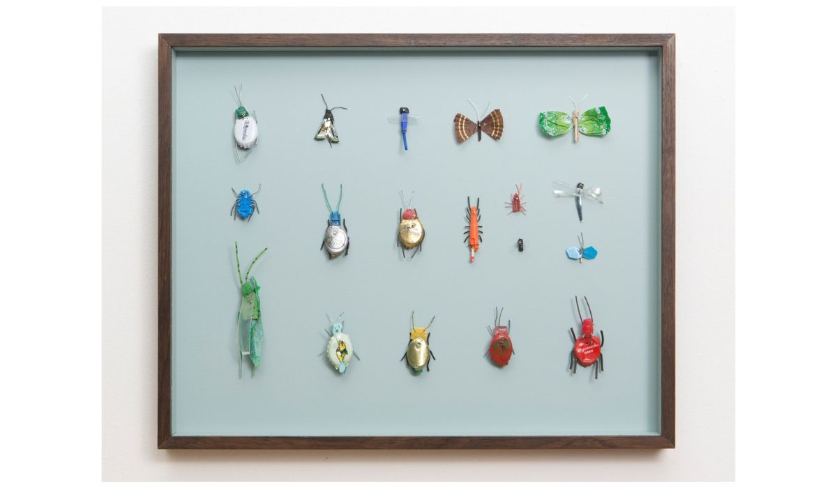 Matthias Garff insects