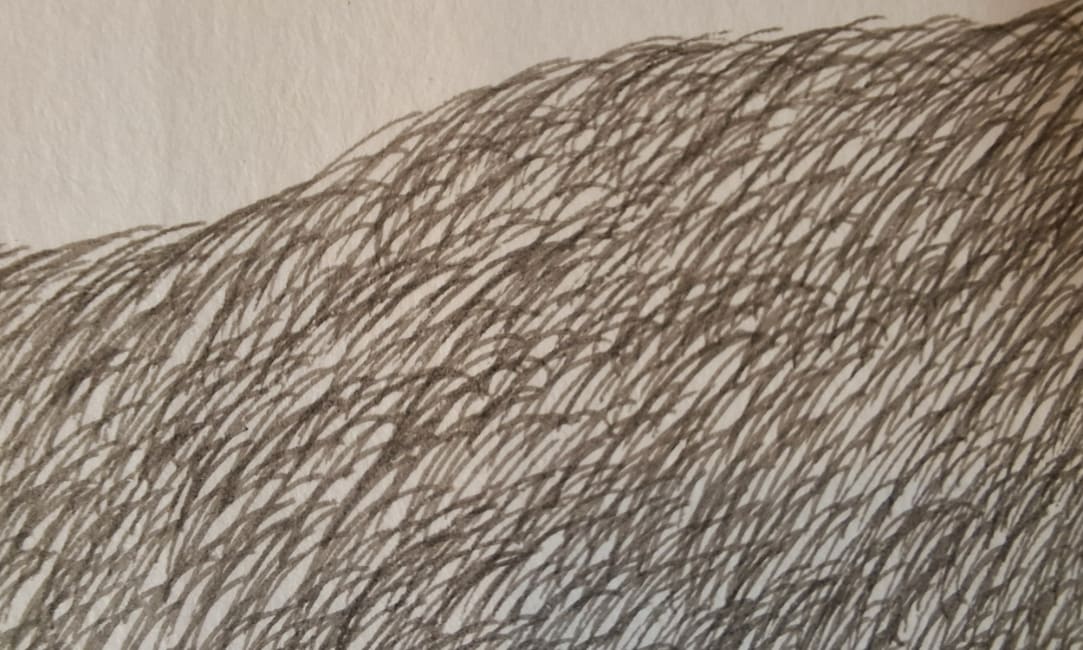 Mirijam Heiler detail